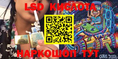 молекула духа Кингисепп