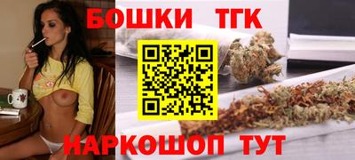 молекула духа Кингисепп