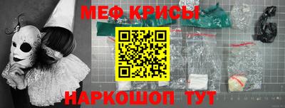 молекула духа Кингисепп