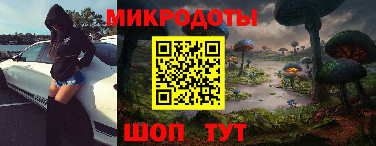 Котельники  Галлюциногенные грибы MAGIC MUSHROOMS  Вход с VPN  Галлюциногенные грибы Psilocybe 