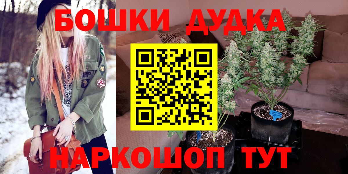 Канабис планчик Котельники